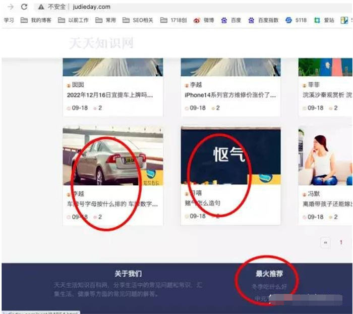 某网站SEO无外链仅半年日均IP近10万 SEO优化 网站 SEO推广 第7张